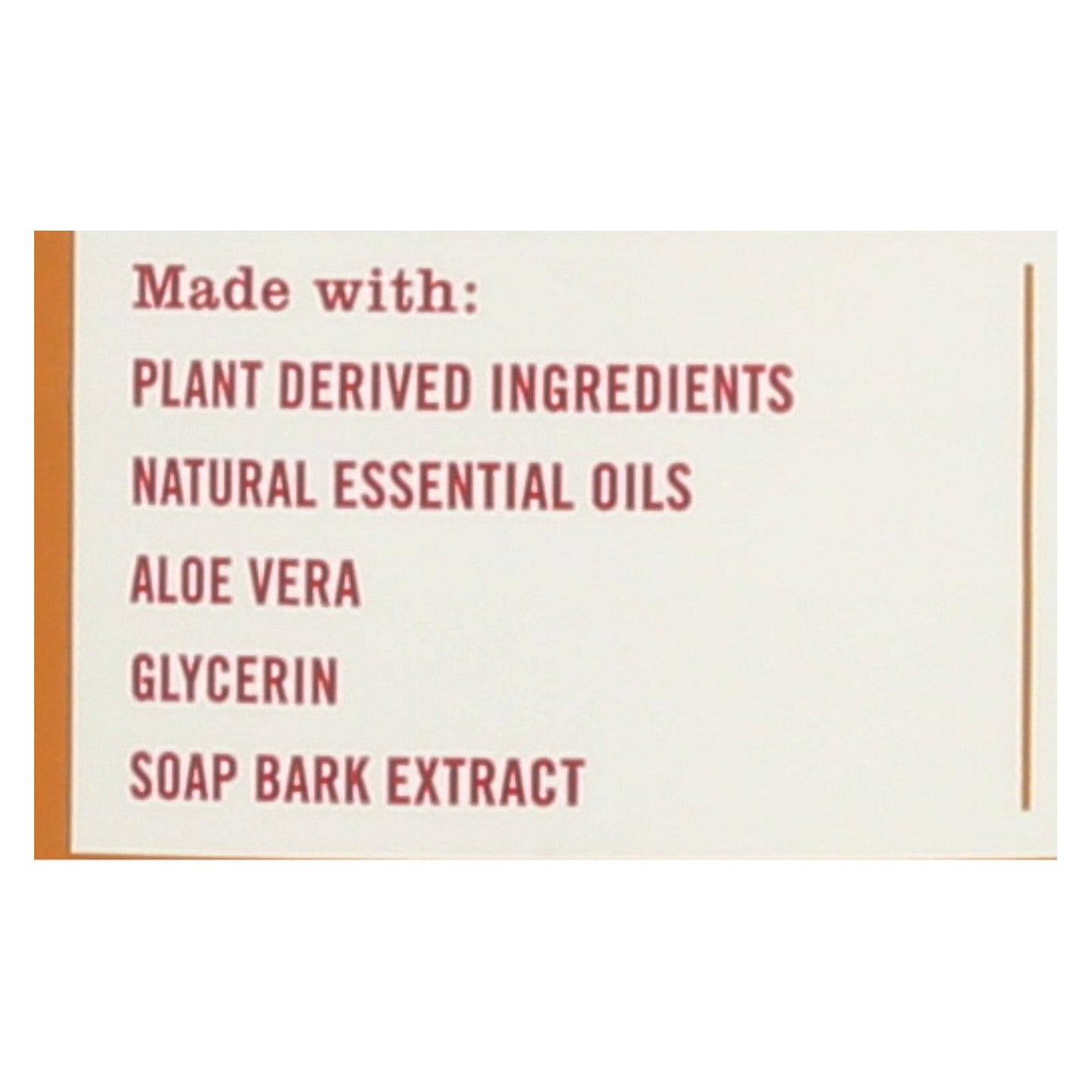 This Amazing Seasonal Scented Mrs. Meyer's Apple Cider Dish Soap - Case Of 6 - 16 Fz