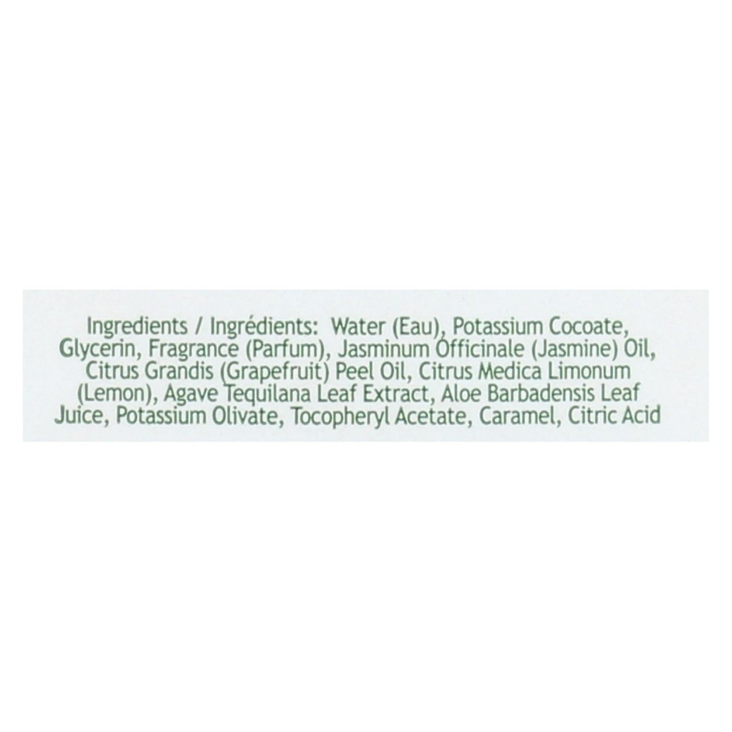 South Of France Blooming Jasmine Foaming Hand Soap - 8 Oz