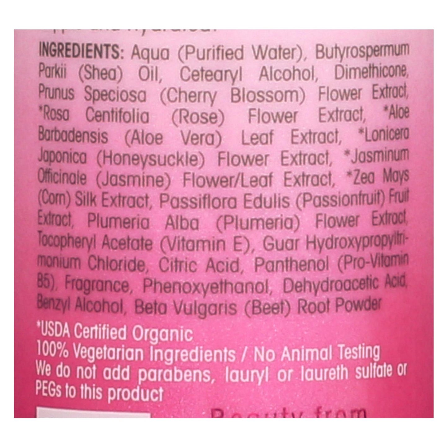 Giovanni 2chic Leave-in Cherry Conditioner - 4 Fl Oz.