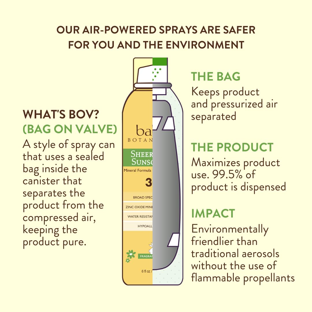 Babo Botanicals Fragrance-Free Sheer Zinc Sunscreen SPF 50, 6 fl oz