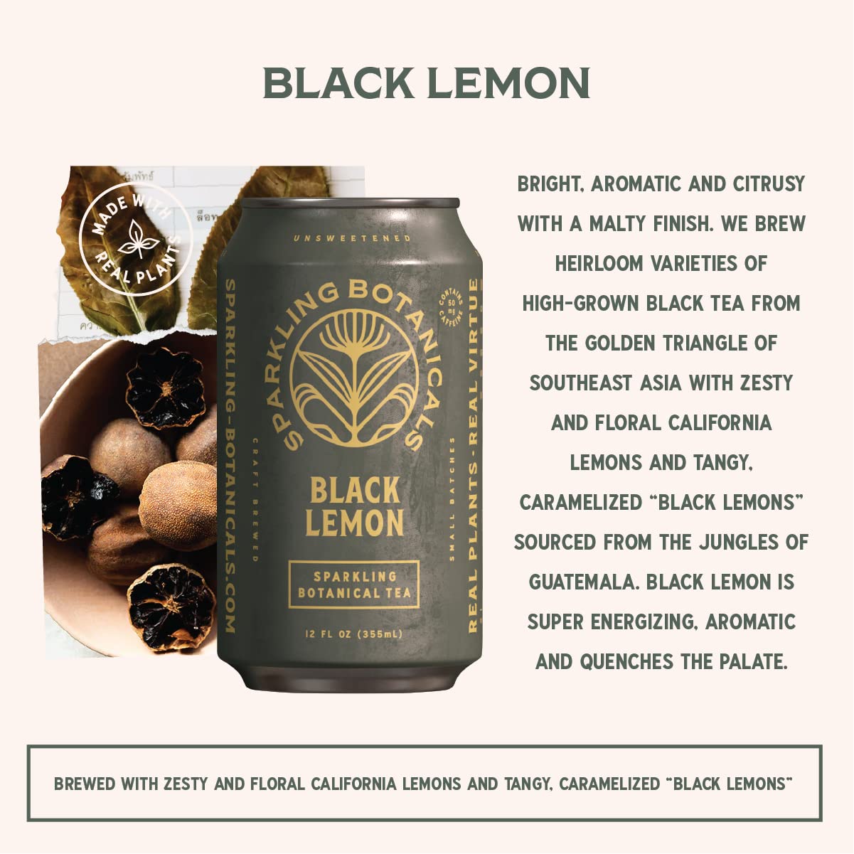 Rishi Sparkling Botanicals Black Lemon Tea, 12 x 12 fl oz