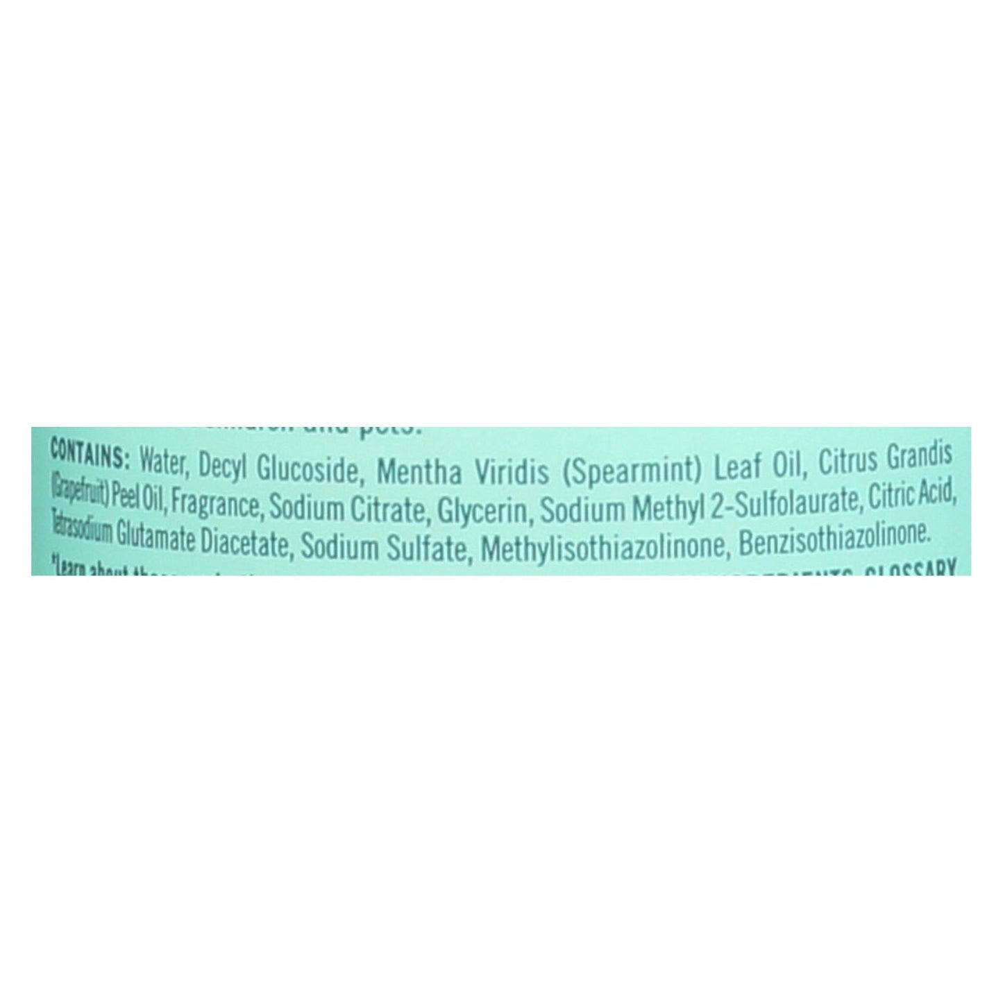 Mrs. Meyer's Clean Day Multi-Surface Cleaner, Mint Scent (Pack of 6 - 16 Fl Oz)