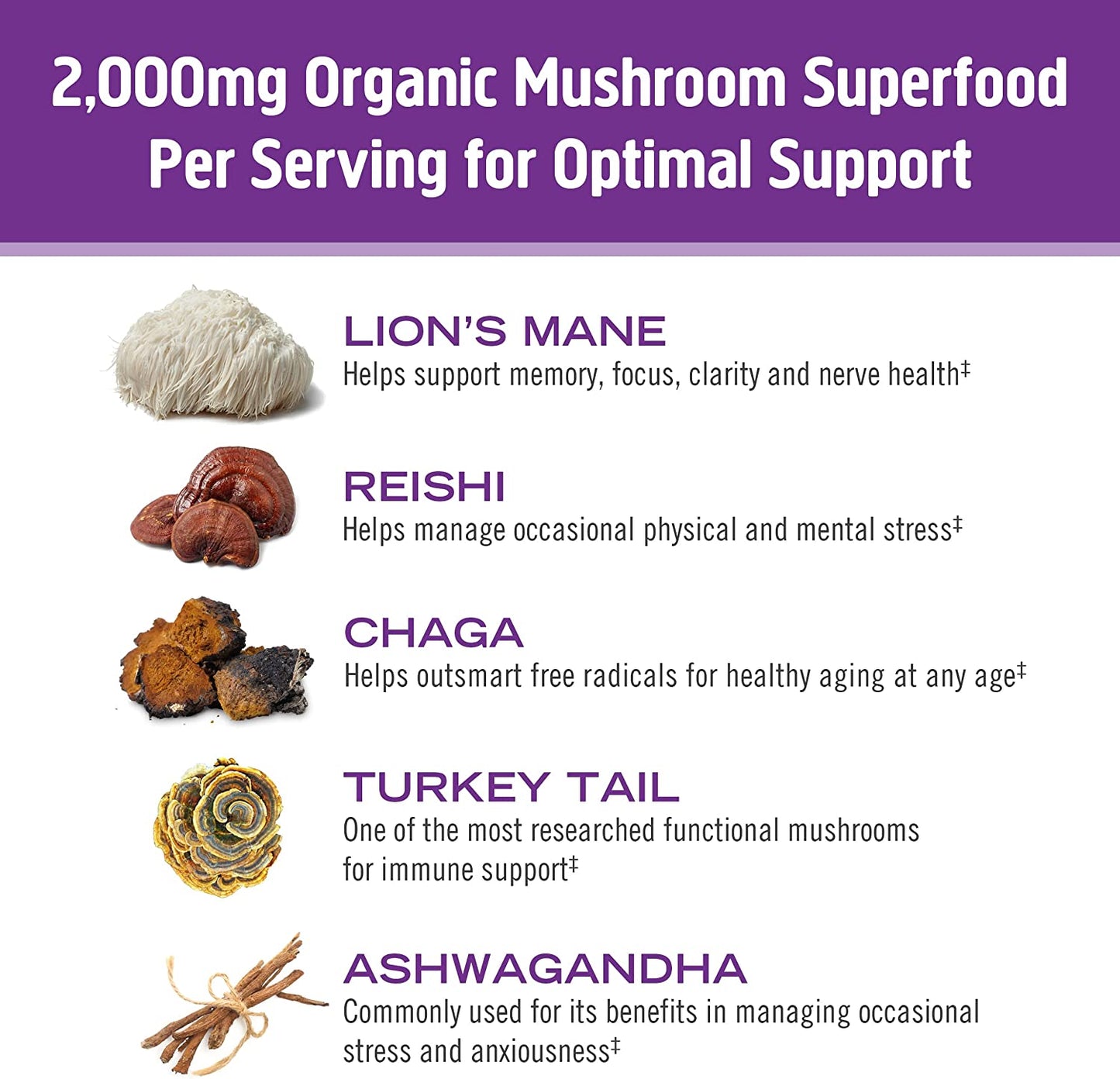 Om Mushroom Superfood Hot Chocolate Blend, 8.47 oz