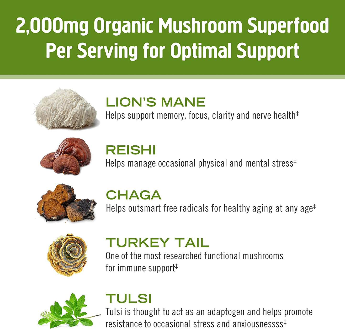 Om Mushroom Superfood Matcha Latte Blend: Immune Support, Energy Boosting Mushroom Powder - 8.47 oz