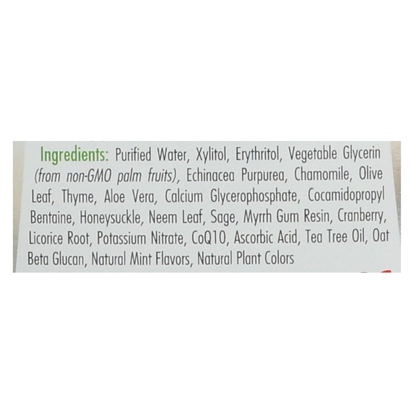 Spry Herbal Mint Mouthwash - Alcohol Free - 16 Oz