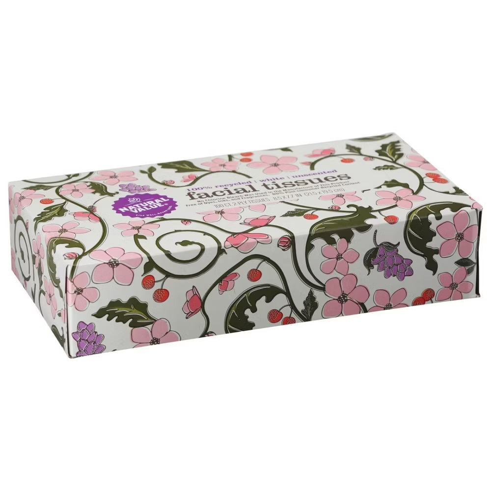 Natural Value 2-Ply Facial Tissue - 100 Count Pack, 30-Pack Case