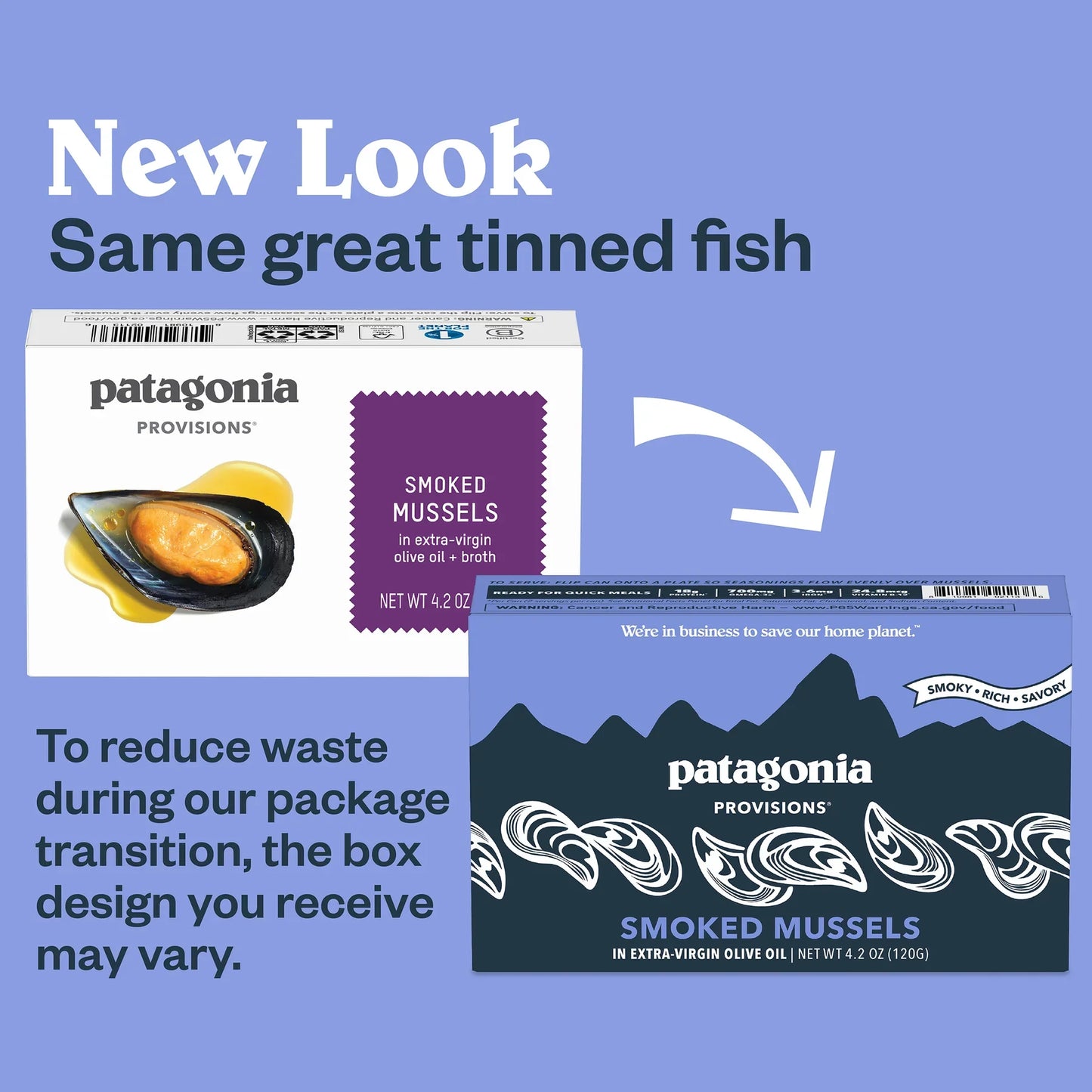 Patagonia Provisions Smoked Mussels, Case of 10, 4.2 Oz Tins