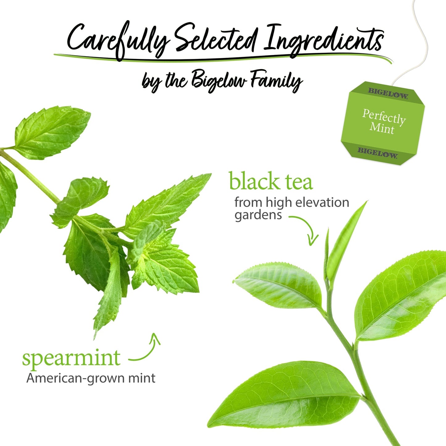 Bigelow Perfectly Mint Tea Bags, 20 Bags (Pack of 6)