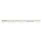 Xylichew Peppermint Gum 12-Pack Countertop Display Box
