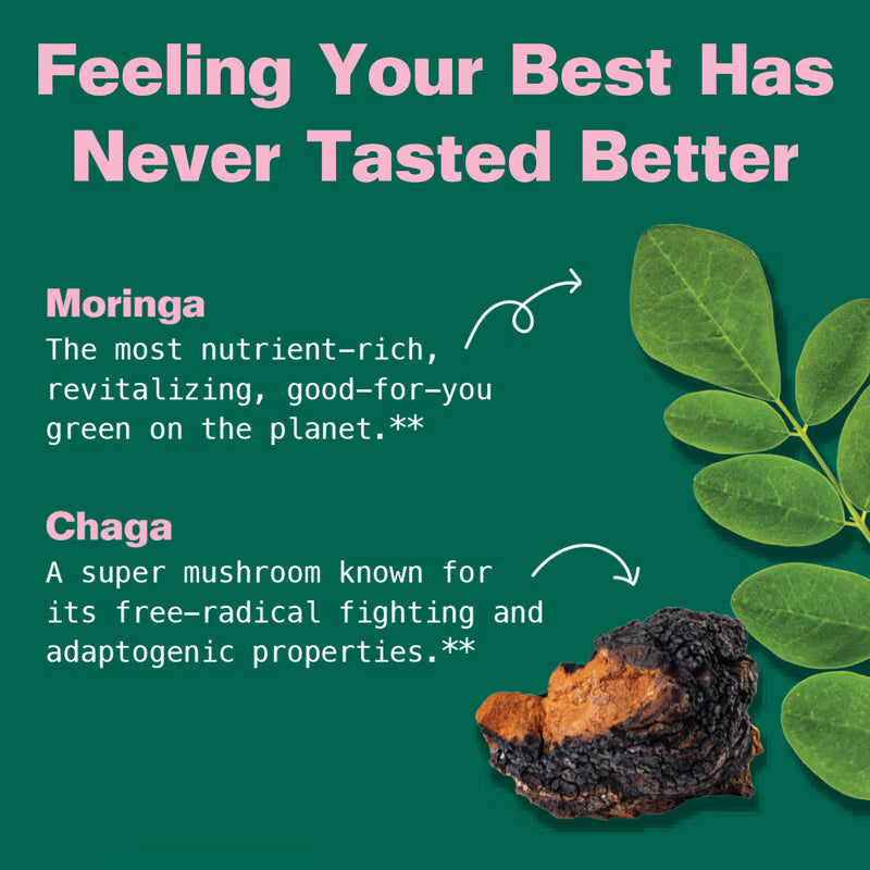 Kuli Kuli Super Gummy, Moringa & Chaga, 60 ct.