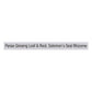 Bravo Absolute Panax Ginseng Tea - 20 Tea Bags