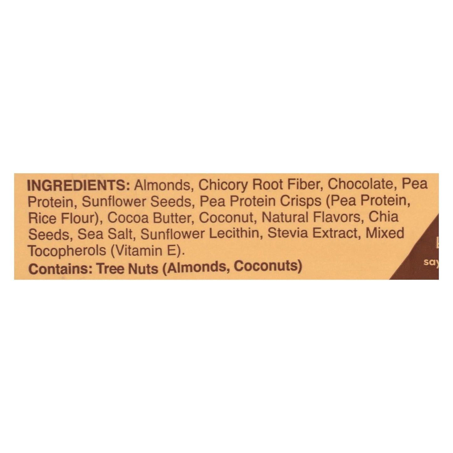 Dang Bar Chocolate Sea Salt - Case of 12 - 1.4oz