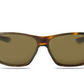 Bandon | Tortoise | Green G22 Lens
