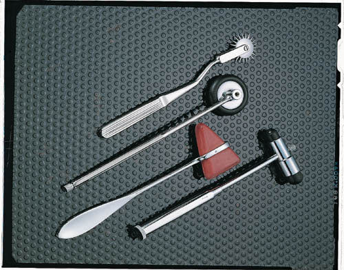 Buck Hammer Taylor Reflex Hammer with Brush and Needle - Chrome, 7.5", Latex-Free