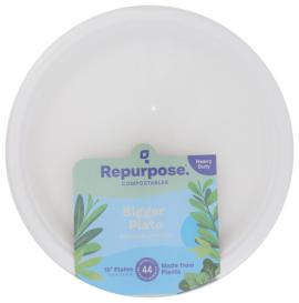 Eco-Friendly Paper Plates, Bagasse Compst 10-inch (Pack of 6)