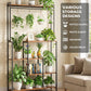 5-Tier Metal Display Shelf with LED Lights