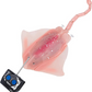 Contixo Remote Control Manta Ray Toys- Water Swim Pool Shark Boat, by Contixo