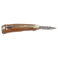 3.75" Damascus Steel Knife with Acadia Wood & Sheath