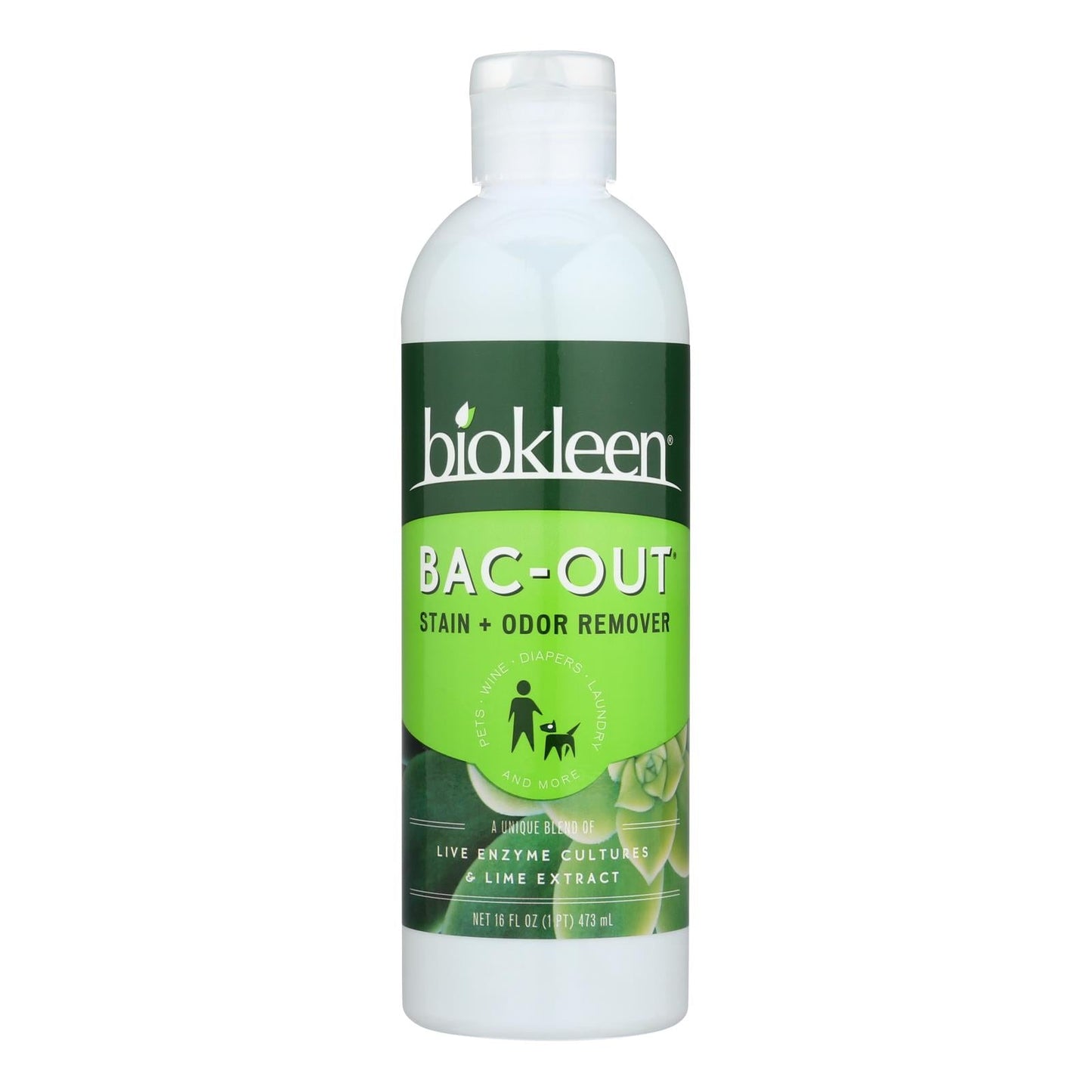 Biokleen Bac-Out: Odor Eliminating Stain Remover (6 Pack, 16 Fl Oz Each)