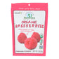 Natierra Freeze-Dried Whole Raspberries (12 Pack, 1.3 Oz. Each)