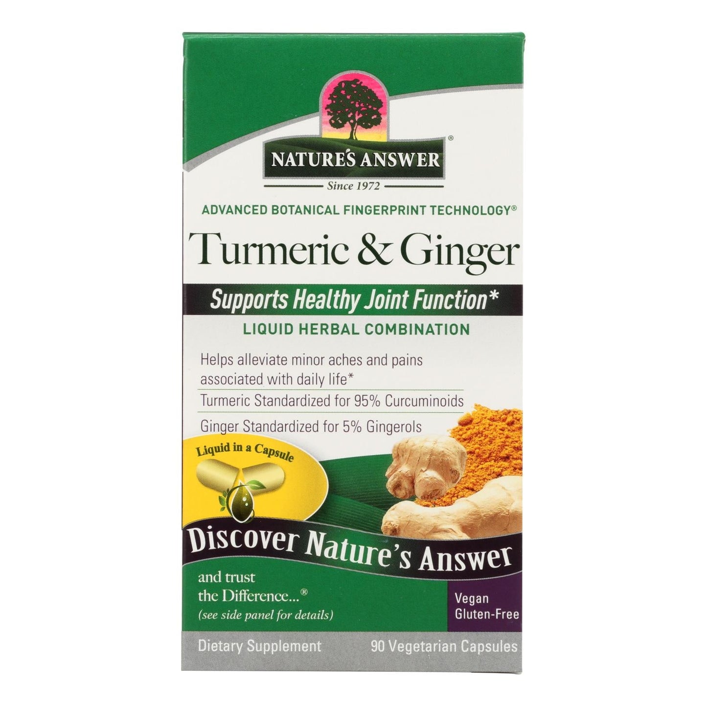 Nature's Answer Turmeric & Ginger Extract Capsules, 90 Veggie Caps