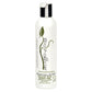 Bio Follicle Shampoo (Pack of 8 Fl Oz) - Rosemary and Mint