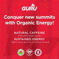 Guru Organic Lite Energy Drink - 12 fl. oz. - Case of 24