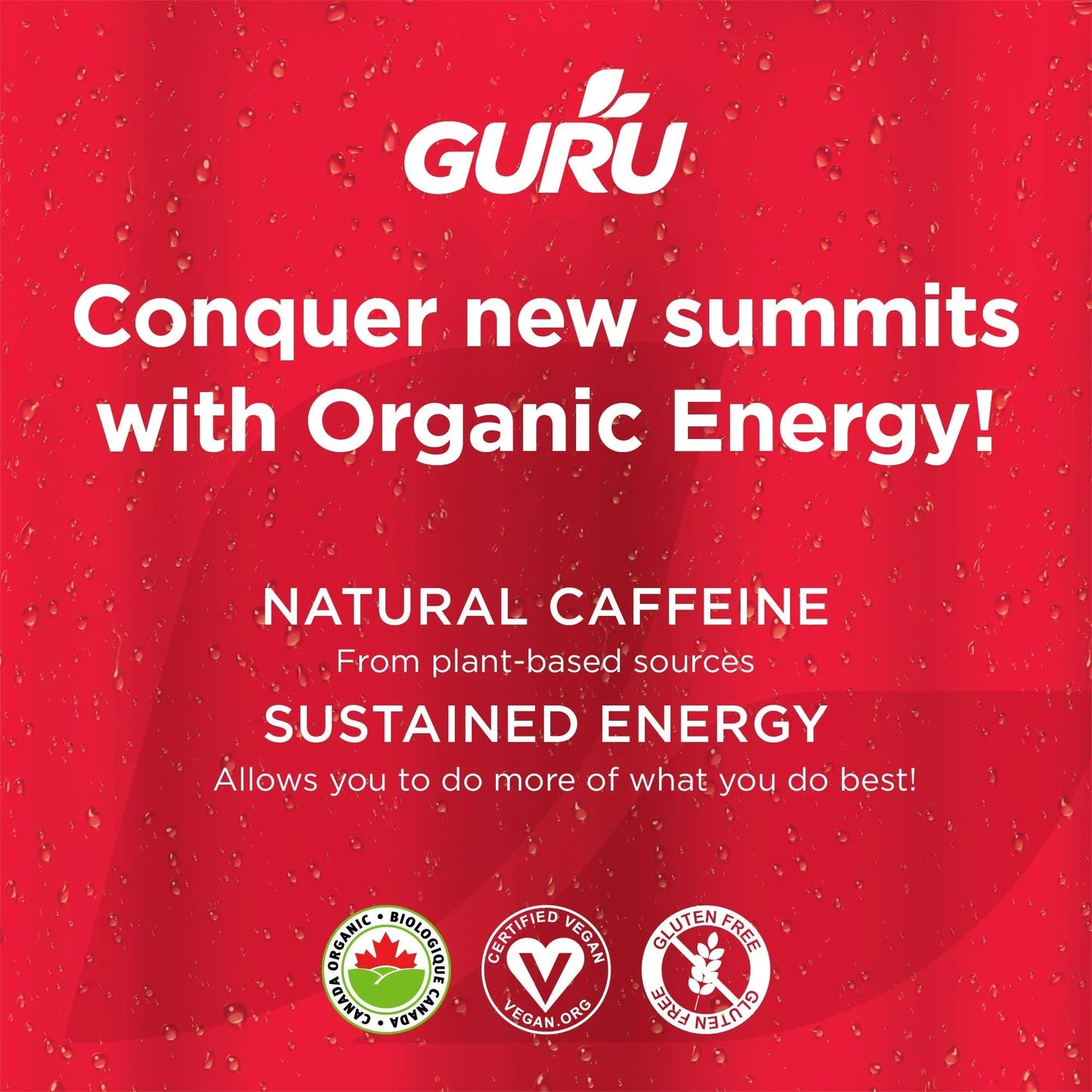 Guru Organic Lite Energy Drink - 12 fl. oz. - Case of 24