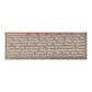 Soothing Touch Organic Grapefruit + Vitamin C Lip Balm, 0.25 oz (Case of 12)
