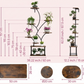 Metal 8-Tier Corner Plant Stand | Indoor Tree-Shape Plant Shelf