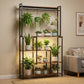 5-Tier Metal Display Shelf with LED Lights