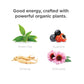 Guru Organic Lite Energy Drink - 12 fl. oz. - Case of 24