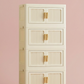 2-6 Layer Foldable Rolling Storage Bin Cabinet | Large Capacity Closet Organizer