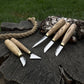 5-Piece Wood Carving Knife Set