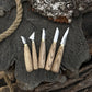 5-Piece Wood Carving Knife Set