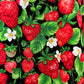 Strawberries A-line Skirt - XS only