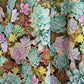 Succulent Vintage Dress - XS only, 1 left!