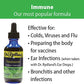 Dr. Rydland's Herbal Formula Supplement, 4 oz.