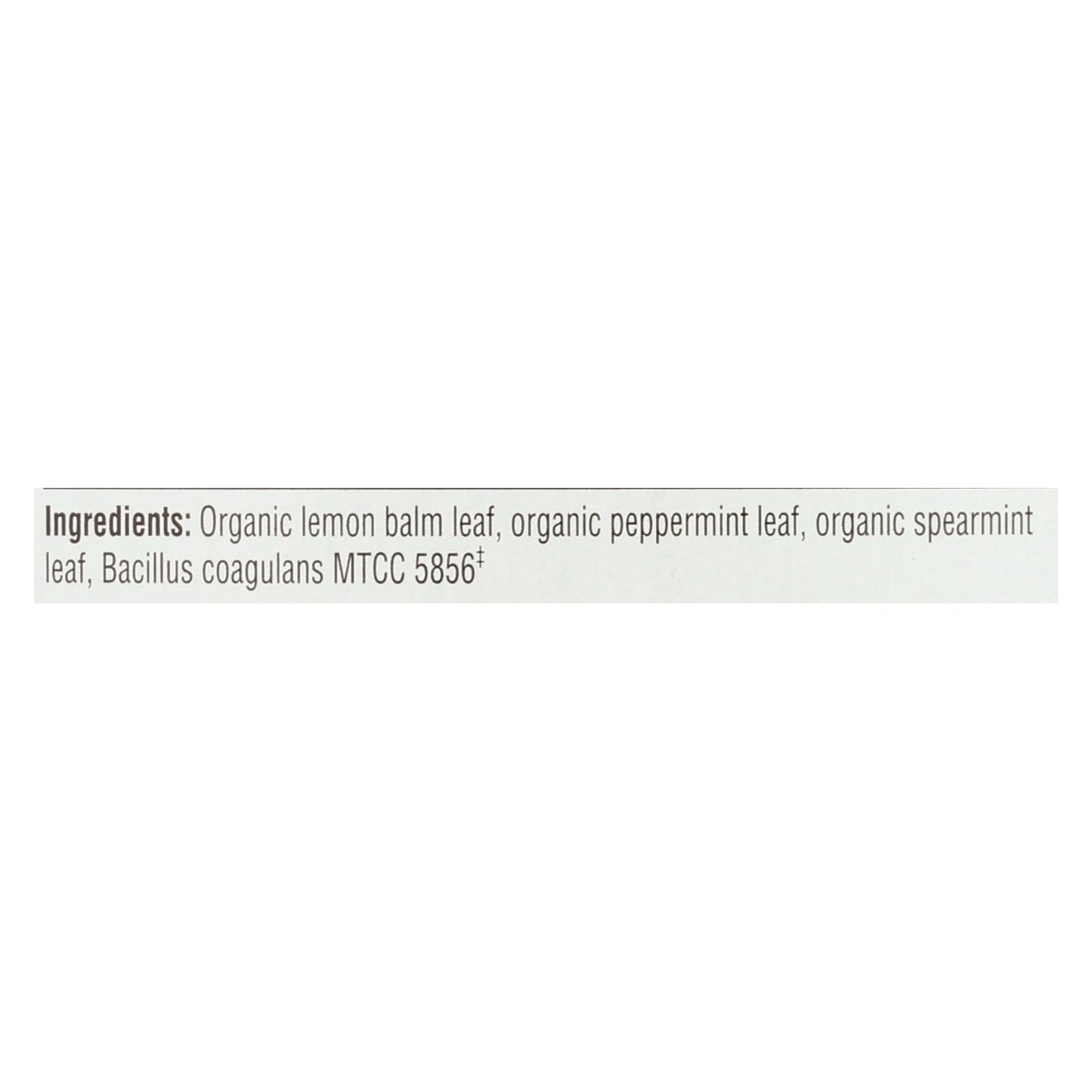 Traditional Medicinals Probiotic Peppermint Delight Tea (Pack of 6 - 16 Bags)