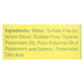 Rebel Green Dish Soap - Peppermint and Lemon 16 Fl Oz (Pack of 4)