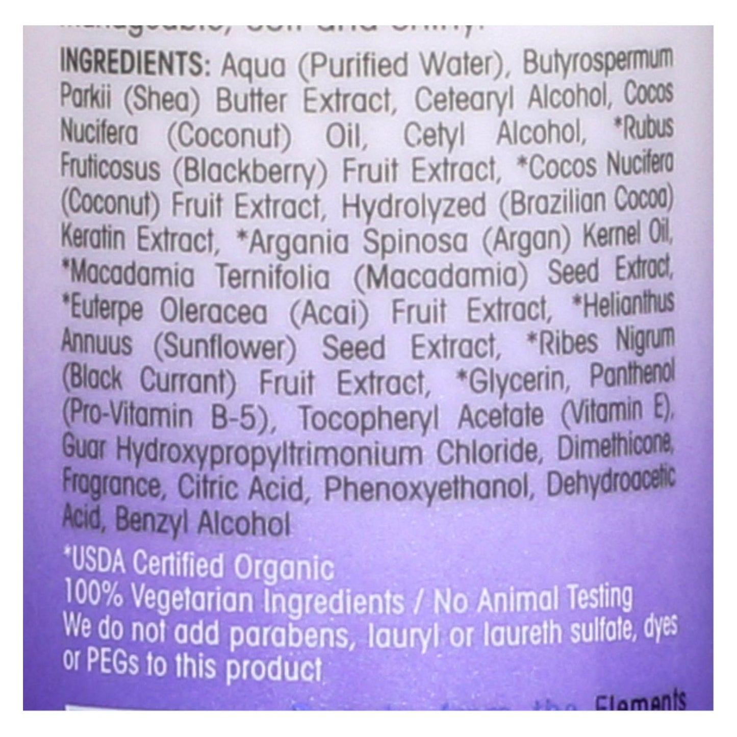 Giovanni Blackberry Coconut Repair Leave-in Conditioner Elixir - 4 Oz
