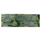 Hapi Green Peas Hot Wasabi (Pack of 24 - 4.9 Oz.)