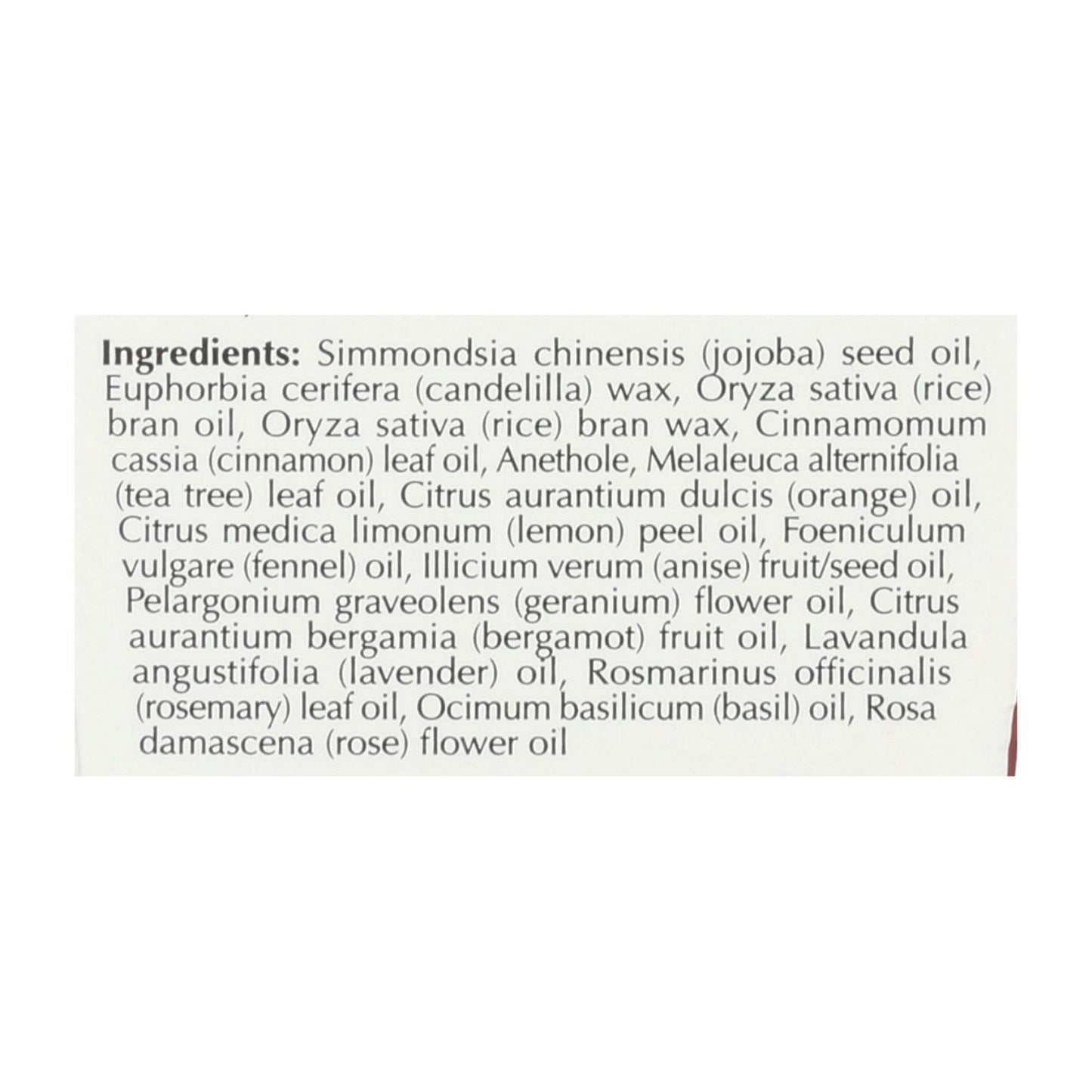 Eco-Dent Premium Veganfloss Cinnamon Flavor Dental Floss, 100-Yard Pack of 6