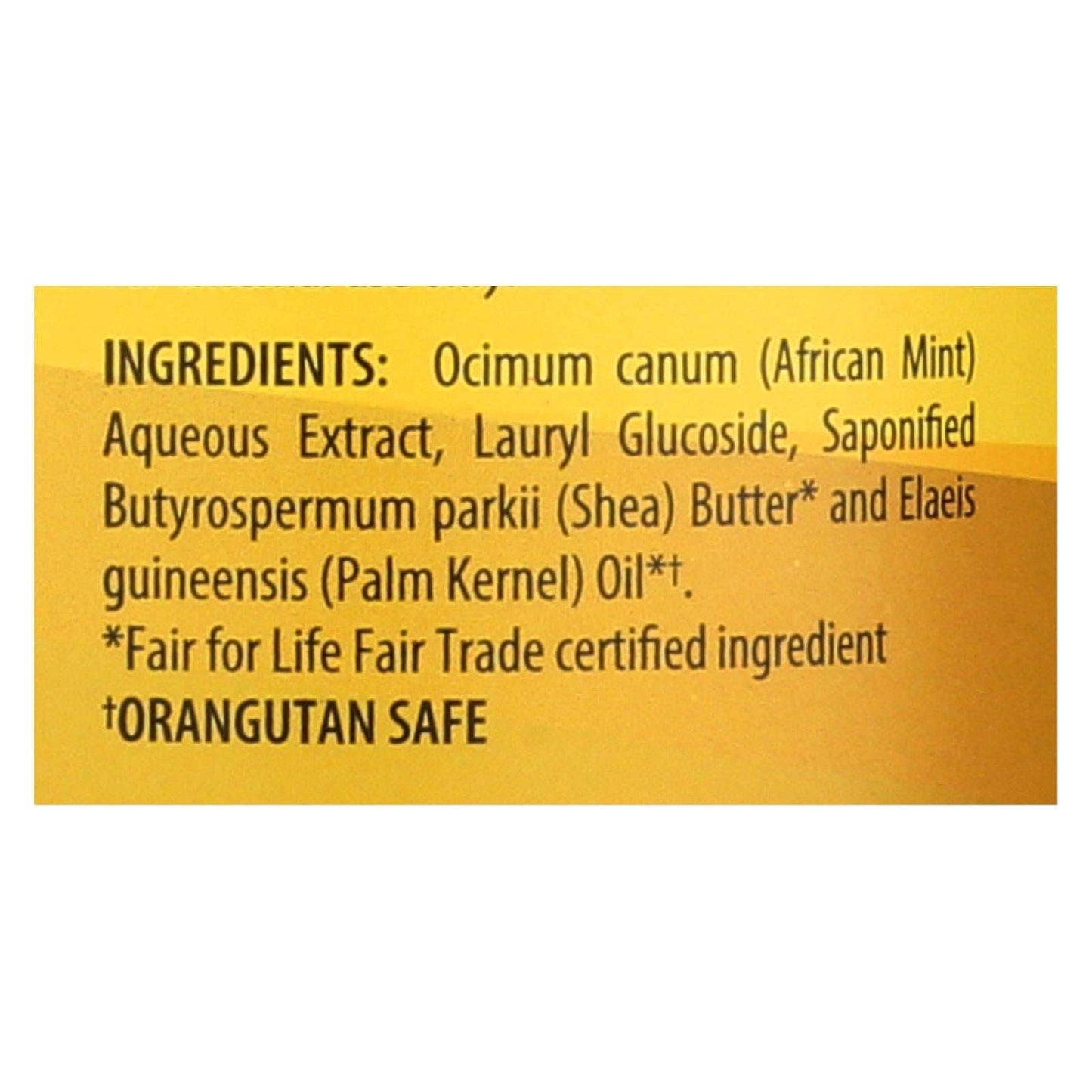 Alaffia Signature Unscented African Black Soap Liquid, 32 Fl Oz