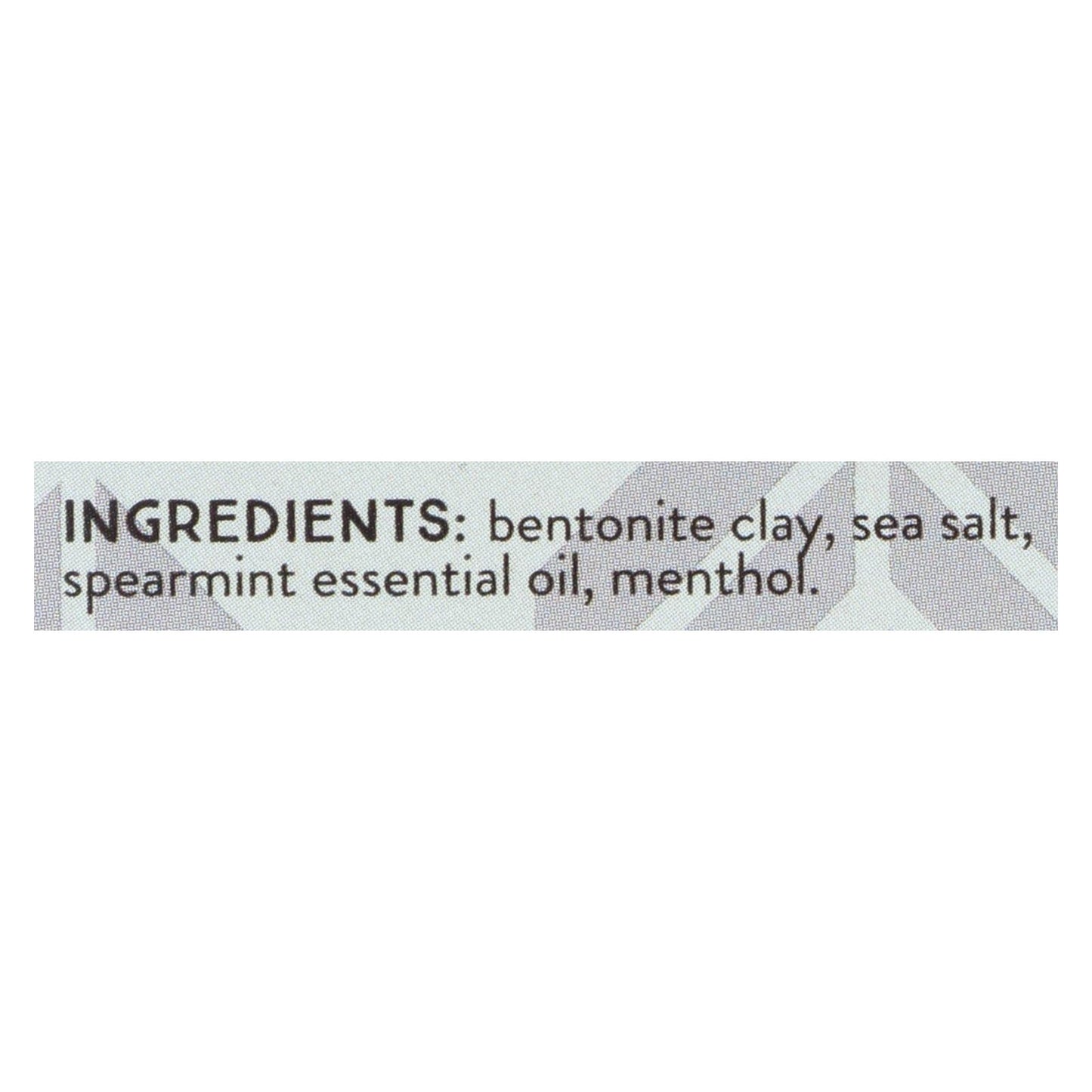 Redmond Natural Earthpowder Spearmint Toothpowder - 1.8 Oz