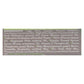 Soothing Touch, Organic Coconut Lime Lip Balm 0.25 Oz., Pack of 12