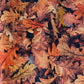 Leaves Fit & Flare Dress