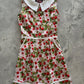 Strawberry Collared Dress - Plus Sizes only