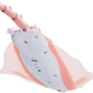 Contixo Remote Control Manta Ray Toys- Water Swim Pool Shark Boat, by Contixo