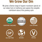 Om Mushroom Superfood Coffee Latte Blend, 8.47 oz.